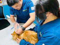 -康爱犬猫诊所·牙专科·骨外科·影像内科(丰宁店)