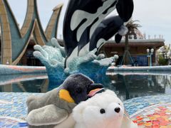 -上海海昌海洋公园