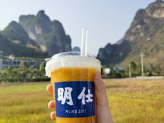 -明仕田园