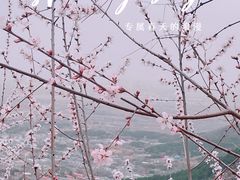 -香山公园