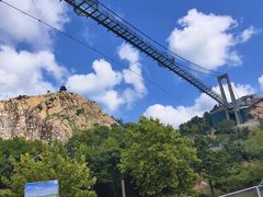 -西霞口神雕山野生动物世界