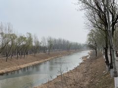-东郊湿地公园