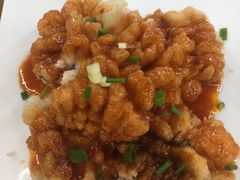 -梁溪河畔·吉府花园(南长街南下塘店)