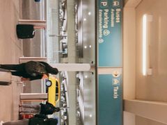 -纽瓦克自由国际机场