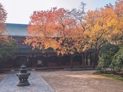 -灵谷景区