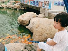 -南昌之星游乐场