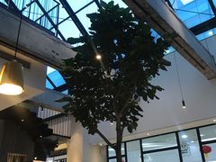 -大树餐厅(红旗街万达店)