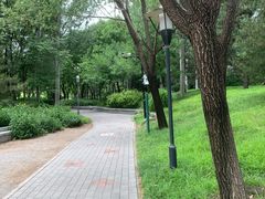 -北极寺公园