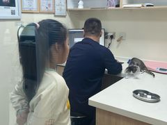 -全心全意连锁动物医院·微创中心·内科急重症·心脏专科(丰管路店)