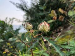 -金堂县云顶石城风景区