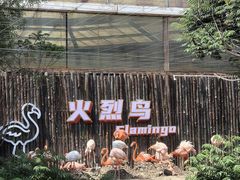 -齐齐哈尔龙沙动植物园
