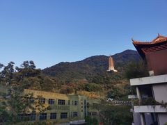 -深圳仙湖植物园