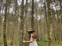-石棉县孟获城