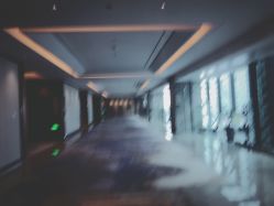 -苏州希尔顿酒店-宴会厅