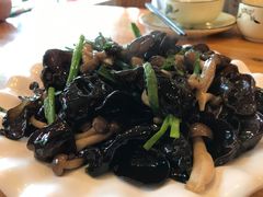 -鹤乡东北菜(崮山路店)