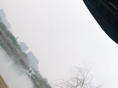 -眉山湿地公园(东坡区)