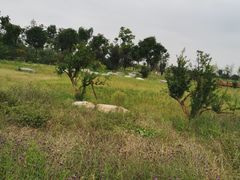 -汉长安城未央宫国家考古遗址公园