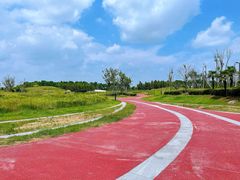 -春花秋色城市公园