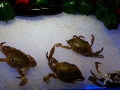 thumb&nbsp;(2)-成都钓鱼台精品酒店-品聚·成都餐厅