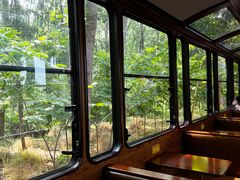 -合肥滨湖国家森林公园