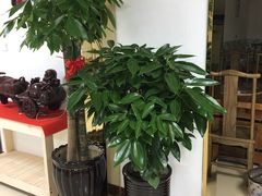 -清真长山屯泉水灶台鱼(佳庆道店)