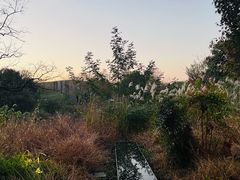 -木守西溪溪隐餐厅
