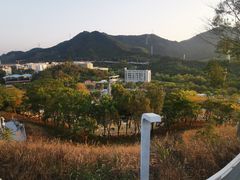 -白石龙音乐公园