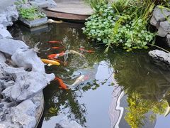 -道南書院·私房菜·早午茶·茶馆