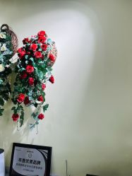 -变美丽半永久纹眉连锁·机器野生眉•洗眉