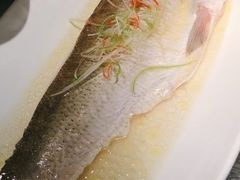 -苏帮袁Sue Cuisine(将台店)