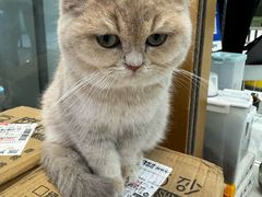 -万达广场(济南魏家庄店)