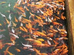 -云南民族大观园