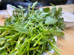 -宏记广东客家菜(丰汇店)