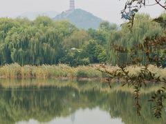 -北坞公园