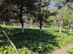 -莫子山公园