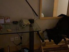 -上海新锦江大酒店