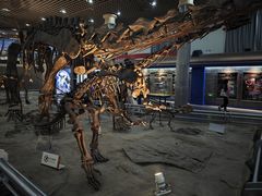 -国家自然博物馆