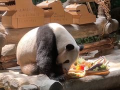-灵玲国际马戏城