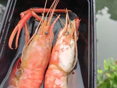 -鸡脚旮旯平江路店