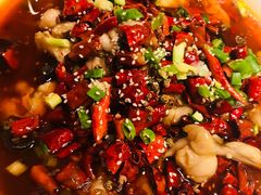-胡桃里音乐酒馆(石家庄店)