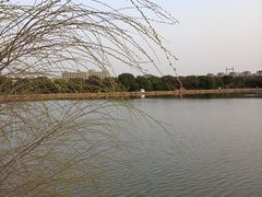 -广富林郊野公园