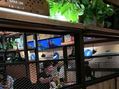 -探鱼·鲜青椒爽麻烤鱼(北京路天河城店)