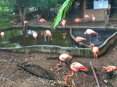 -清迈夜间动物园