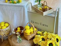 -HERRE·FARM 赫尔露营农场·团建聚会包场