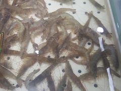 -渔乐圈海鲜餐厅(群力金江路店)