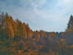 -塞罕坝国家级自然保护区