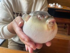 -永安鱼庄·镇江菜(三店纬五路店)