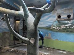 -石家庄市动物园