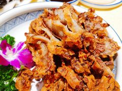 脆皮肘子-新侨小馆(东直门北小街店)