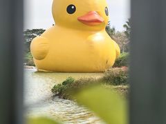 -深圳人才公园